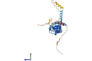 AlphaFold protein structure predicition of Human Recombinant ZDHHC11B Protein, UniprotID P0C7U3