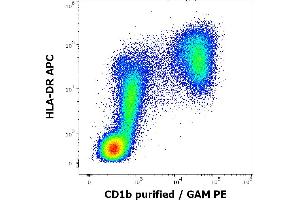 Flow Cytometry (FACS) image for anti-CD1b (CD1B) antibody (ABIN1981866)