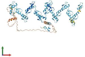 AlphaFold protein structure predicition of Human Recombinant ZNF443 Protein, UniprotID Q9Y2A4