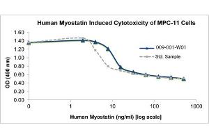 SDS-PAGE of Human Myostatin Recombinant Protein Bioactivity of Human Myostatin Recombinant Protein. (MSTN 蛋白)