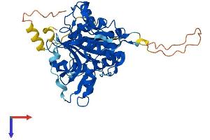 ATG4B Protein (AA 1-393) (His tag)