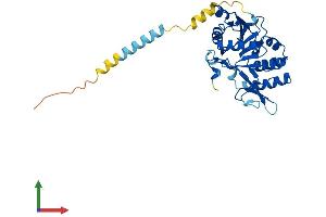 Protein Structure (PS) image for Exostoses (Multiple)-Like 2 (EXTL2) (AA 1-330) protein (His tag) (ABIN7547572)