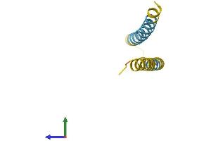 Protein Structure (PS) image for Neuronatin (NNAT) (AA 1-81) protein (Fc Tag) (ABIN7549771)