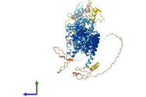 Protein Structure (PS) image for Ankyrin Repeat and MYND Domain Containing 1 (ANKMY1) (AA 1-941) protein (His tag) (ABIN7552154)