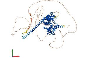 AlphaFold protein structure predicition of Mouse Recombinant Tbc1d14 Protein, UniprotID Q8CGA2