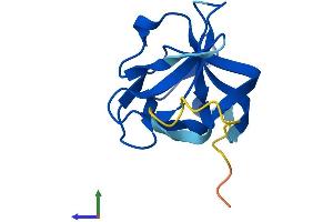 Protein Structure (PS) image for RAB Interacting Factor (RABIF) (AA 1-123) protein (His tag) (ABIN7549574)