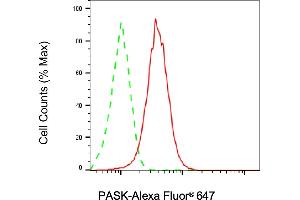 Flow cytometric analysis of PASK expression in HAP-1 cells using PASK antibody (ABIN7799741), 1:2,000). (PASK 抗体)