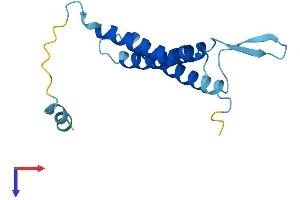 OSTC Protein (AA 1-149) (His tag)