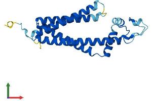 Protein Structure (PS) image for Tetraspanin 13 (TSPAN13) (AA 1-204) protein (His tag) (ABIN7561118)