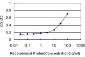 Detection limit for recombinant GST tagged GCLM is approximately 1ng/ml as a capture antibody. (GCLM 抗体  (AA 1-274))