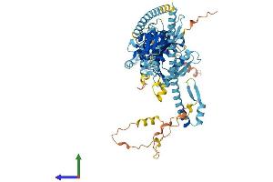 Protein Structure (PS) image for Kinesin Family Member 3A (KIF3A) (AA 1-701) protein (His tag) (ABIN7563066)