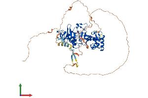 AlphaFold protein structure predicition of Human Recombinant PHF1 Protein, UniprotID O43189