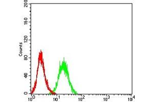 Flow cytometric analysis of HL-60 cells using CD202B mouse mAb (green) and negative control (red). (TEK 抗体  (AA 571-748))
