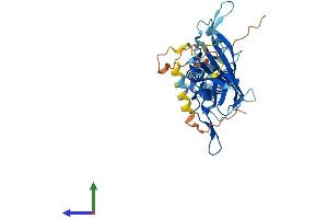 Protein Structure (PS) image for Potassium Inwardly-Rectifying Channel, Subfamily J, Member 10 (KCNJ10) (AA 1-379) protein (His tag) (ABIN7554261)