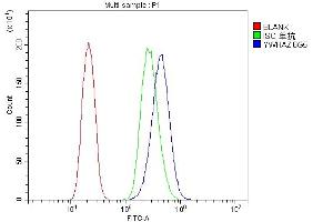 Flow Cytometry analysis of PC-3 cells using anti-14-3-3 zeta/delta antibody (ABIN7602973).