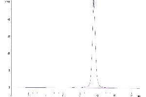 Size-exclusion chromatography-High Pressure Liquid Chromatography (SEC-HPLC) image for Fibrinogen-Like 1 (FGL1) (AA 64-305) protein (His-Avi Tag) (ABIN7274642)