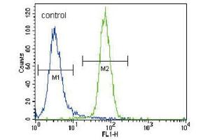 Flow Cytometry (FACS) image for anti-Runt-Related Transcription Factor 2 (RUNX2) antibody (ABIN3003461) (RUNX2 抗体)