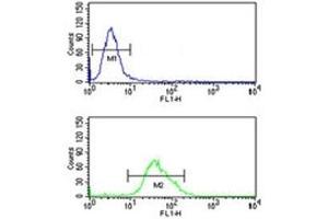 Flow Cytometry (FACS) image for anti-Forkhead Box G1 (FOXG1) (AA 225-252) antibody (ABIN3030987)