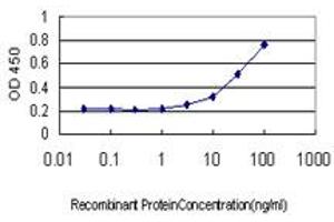 Detection limit for recombinant GST tagged GREM1 is approximately 3ng/ml as a capture antibody. (GREM1 抗体  (AA 75-184))
