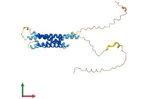 AlphaFold protein structure predicition of Mouse Recombinant Ms4a10 Protein, UniprotID Q99N03