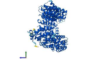 AlphaFold protein structure predicition of Human Recombinant TNPO3 Protein, UniprotID Q9Y5L0
