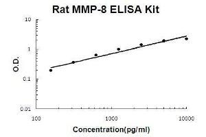 Rat MMP-8 PicoKine ELISA Kit standard curve (MMP8 ELISA 试剂盒)