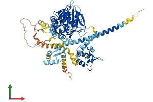 Protein Structure (PS) image for Protein Phosphatase, EF-Hand Calcium Binding Domain 1 (PPEF1) (AA 1-653) protein (His tag) (ABIN7550949)