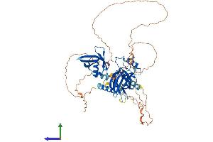 Protein Structure (PS) image for Grainyhead-Like 3 (GRHL3) (AA 1-603) protein (His tag) (ABIN7563817)