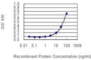 Detection limit for recombinant GST tagged SOCS2 is 1 ng/ml as a capture antibody. (SOCS2 抗体  (AA 99-198))