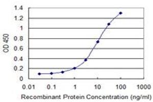 Detection limit for recombinant GST tagged GNL3 is 0. (Nucleostemin 抗体  (AA 328-427))