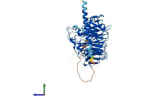 Protein Structure (PS) image for Coronin, Actin Binding Protein, 1C (CORO1C) (AA 1-474) protein (His tag) (ABIN7546640)
