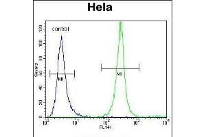 Flow cytometric analysis of Hela cells (right histogram) compared to a negative control cell (left histogram). (SRGN 抗体  (C-Term))