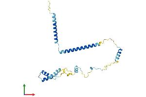 AlphaFold protein structure predicition of Human Recombinant CCDC124 Protein, UniprotID Q96CT7