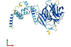 Protein Structure (PS) image for F-Box and WD Repeat Domain Containing 2 (FBXW2) (AA 1-422) protein (His tag) (ABIN7557578)