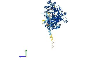 Protein Structure (PS) image for UDP-N-Acetyl-alpha-D-Galactosamine:polypeptide N-Acetylgalactosaminyltransferase 14 (GalNAc-T14) (GALNT14) (AA 1-550) protein (His tag) (ABIN7558926)