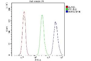 Flow Cytometry analysis of PC-3 cells using anti-HSPA2 antibody (ABIN3043850). (HSPA2 抗体  (C-Term))