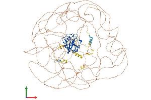 Protein Structure (PS) image for Natural Killer-Tumor Recognition Sequence (NKTR) (AA 1-1453) protein (His tag) (ABIN7563087)