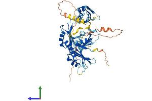 Protein Structure (PS) image for RNA Binding Motif Protein 45 (RBM45) (AA 1-476) protein (His tag) (ABIN7551215)