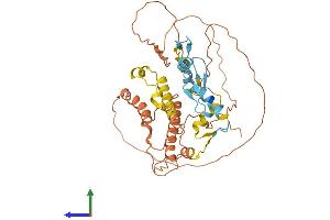 Protein Structure (PS) image for Zinc Finger Protein 114 (ZNF114) (AA 1-417) protein (His tag) (ABIN7545303)