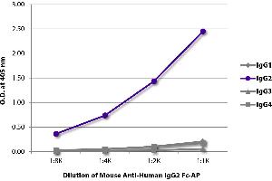 ELISA plate was coated with purified human IgG1, IgG2, IgG3, and IgG4. (小鼠 anti-人 IgG2 (Fc Region) Antibody (Alkaline Phosphatase (AP)))