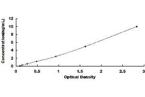 Typical standard curve (GCLM ELISA 试剂盒)