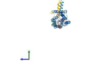 Protein Structure (PS) image for Sphingosine-1-Phosphate Receptor 4 (S1PR4) (AA 1-384) protein (His tag) (ABIN7545873)