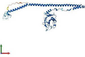 Protein Structure (PS) image for B-Box and SPRY Domain Containing (BSPRY) (AA 1-402) protein (His tag) (ABIN7552776)
