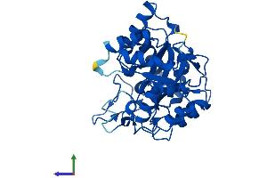 AlphaFold protein structure predicition of Mouse Recombinant Akr1c18 Protein, UniprotID Q8K023