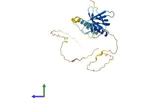 AlphaFold protein structure predicition of Human Recombinant NECAP1 Protein, UniprotID Q8NC96