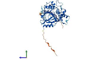 Protein Structure (PS) image for AlkB, Alkylation Repair Homolog 1 (ALKBH1) (AA 1-389) protein (His tag) (ABIN7562810)