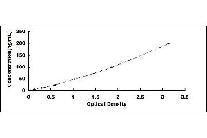 Typical standard curve