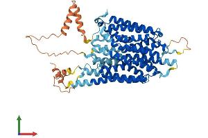 Protein Structure (PS) image for Solute Carrier Family 43, Member 1 (SLC43A1) (AA 1-564) protein (His tag) (ABIN7558857)