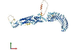 AlphaFold protein structure predicition of Human Recombinant LRRC8E Protein, UniprotID Q6NSJ5
