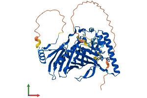 Protein Structure (PS) image for Oxysterol Binding Protein-Like 2 (OSBPL2) (AA 1-480) protein (His tag) (ABIN7550534)